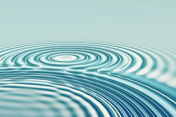 גאאלא קזינו תמיכה